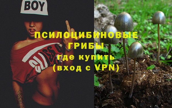 шишки Абдулино